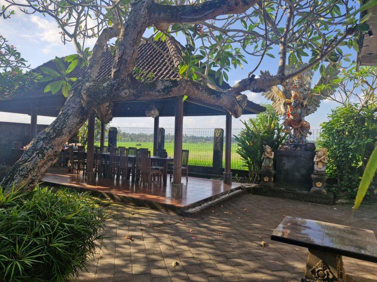 WhatsApp Image 2025-09-04 at 14.48.02_da38dc9c