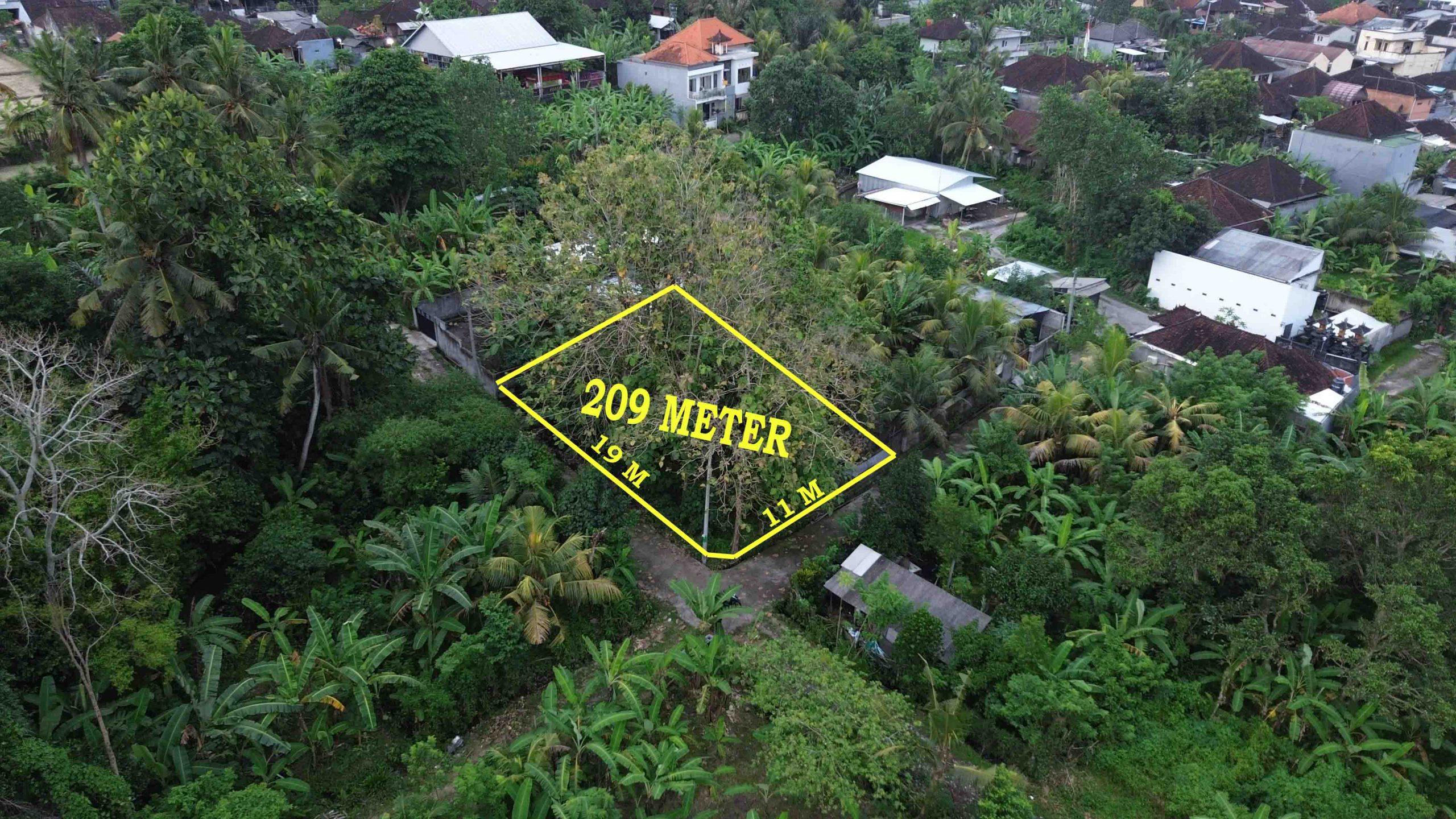 DCIM100MEDIADJI_0901.JPG