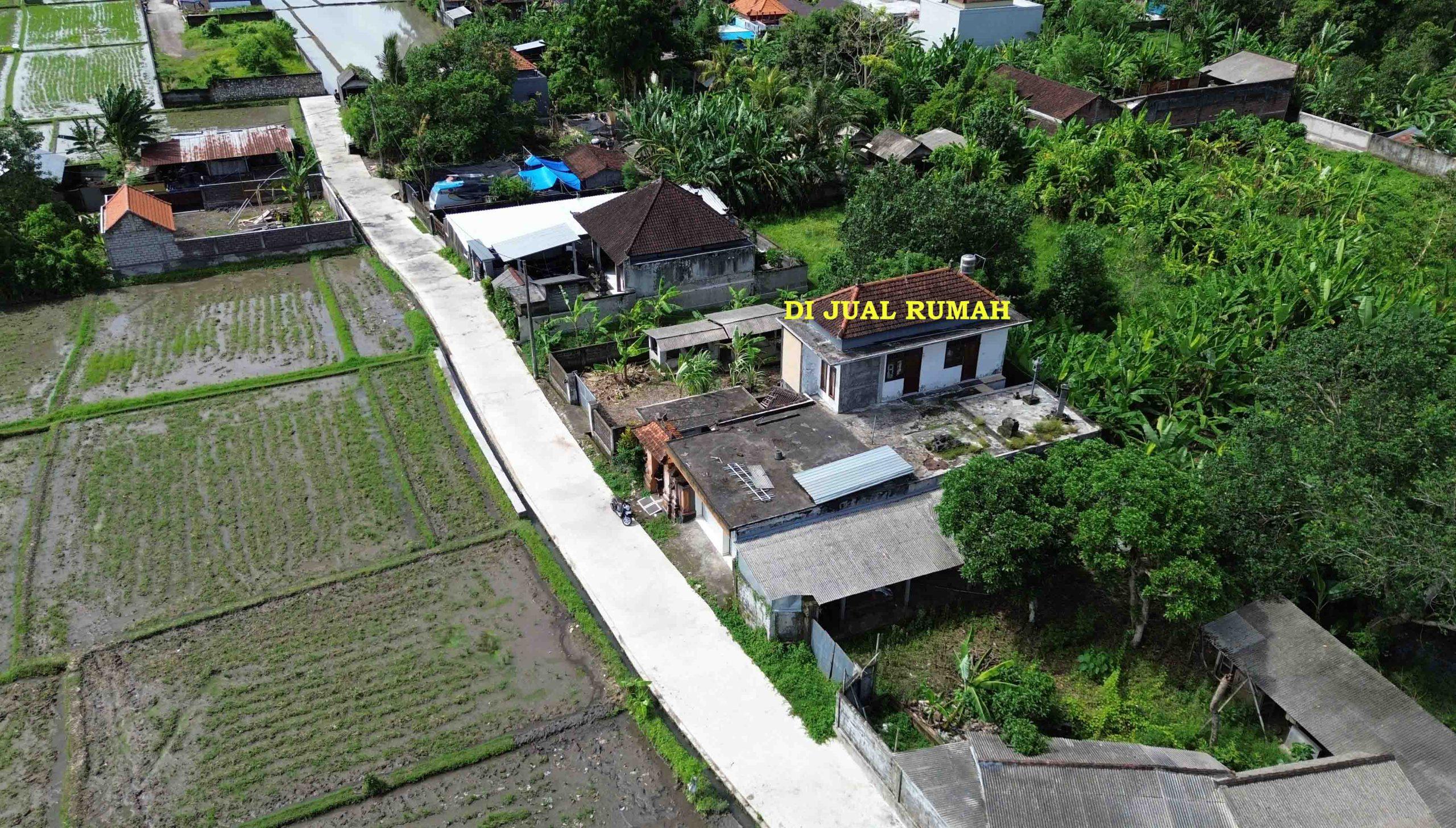 DCIM100MEDIADJI_0910.JPG
