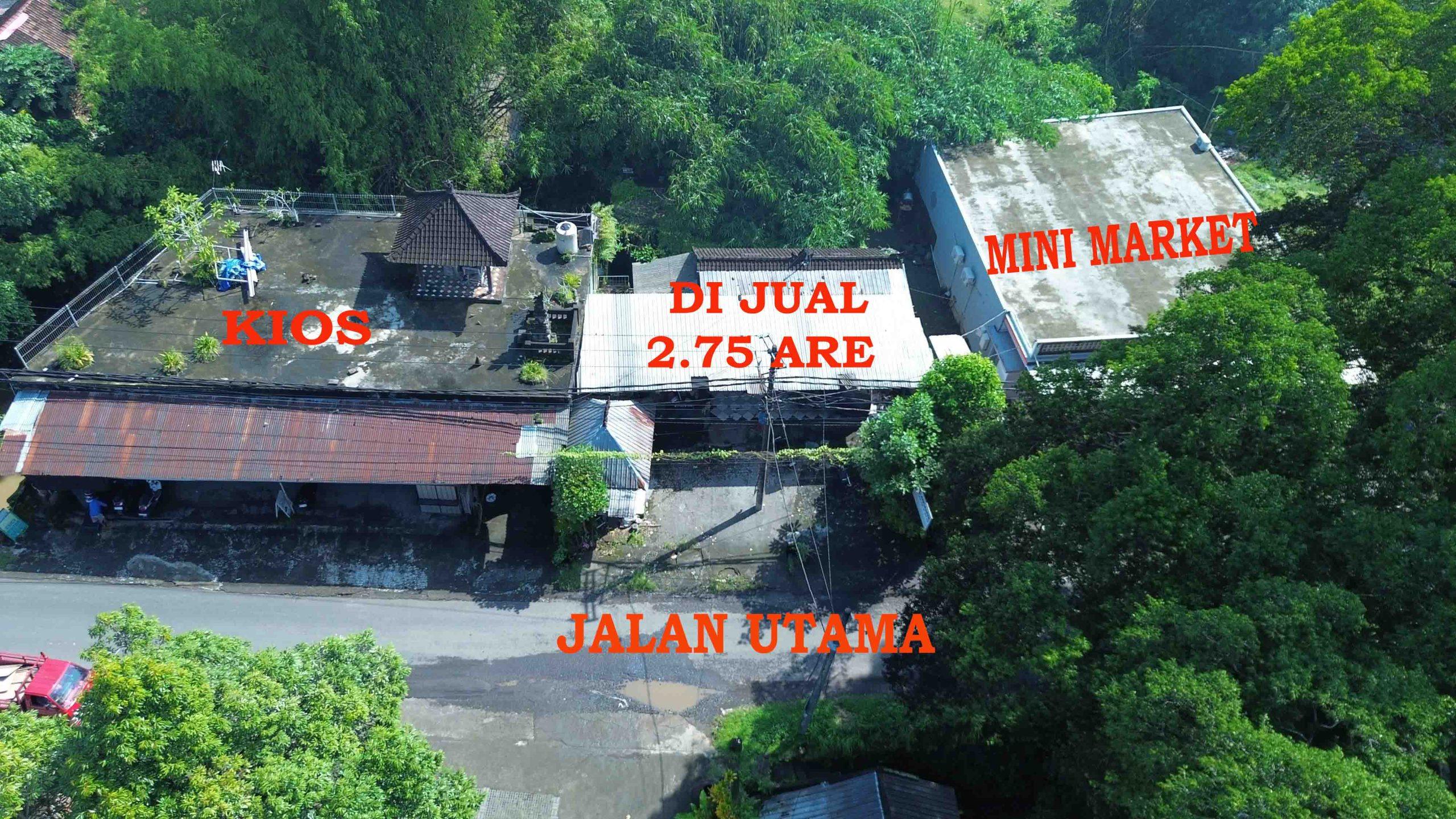 DCIM101MEDIADJI_0058.JPG