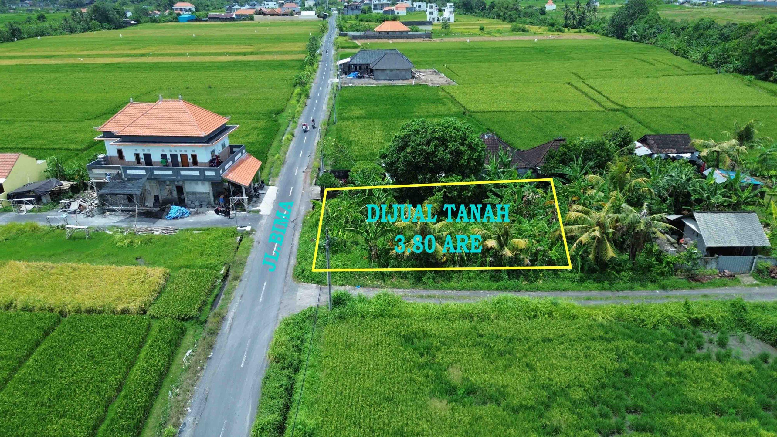 DCIM101MEDIADJI_0141.JPG