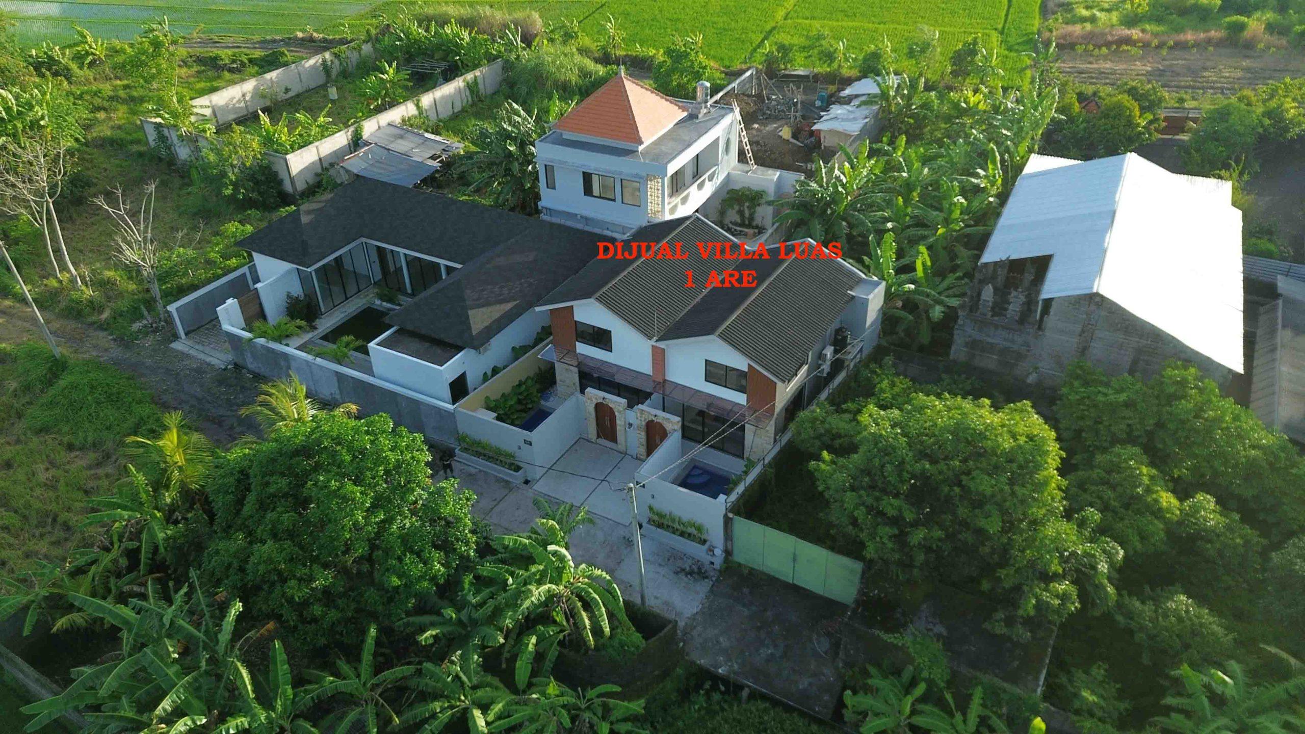 DCIM101MEDIADJI_0110.JPG