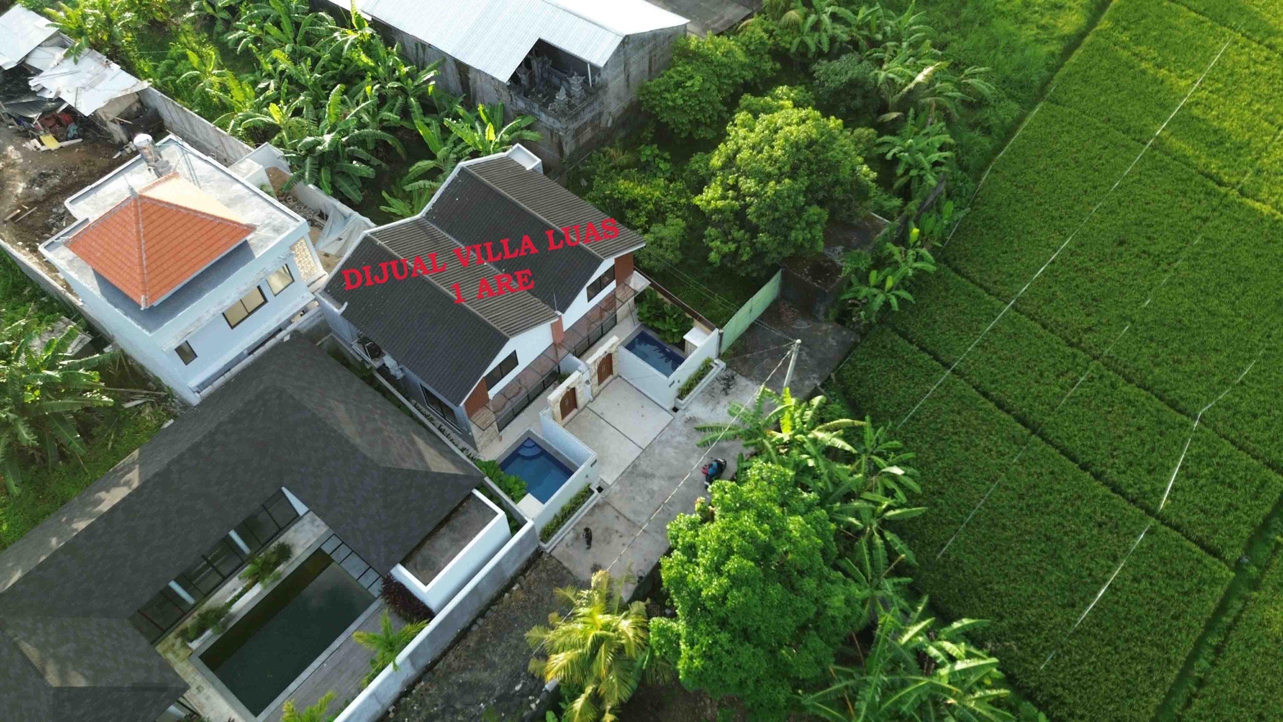 DCIM101MEDIADJI_0112.JPG