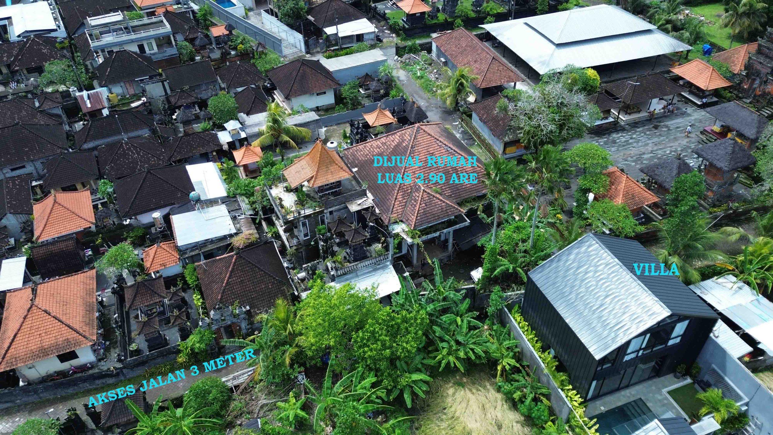 DCIM101MEDIADJI_0146.JPG