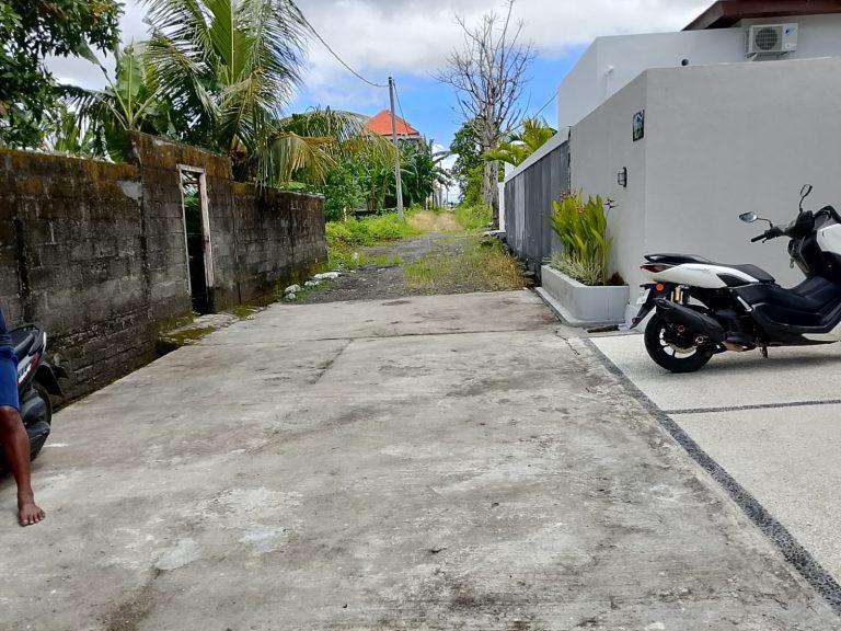 WhatsApp Image 2026-02-03 at 6.07.45 PM - Copy