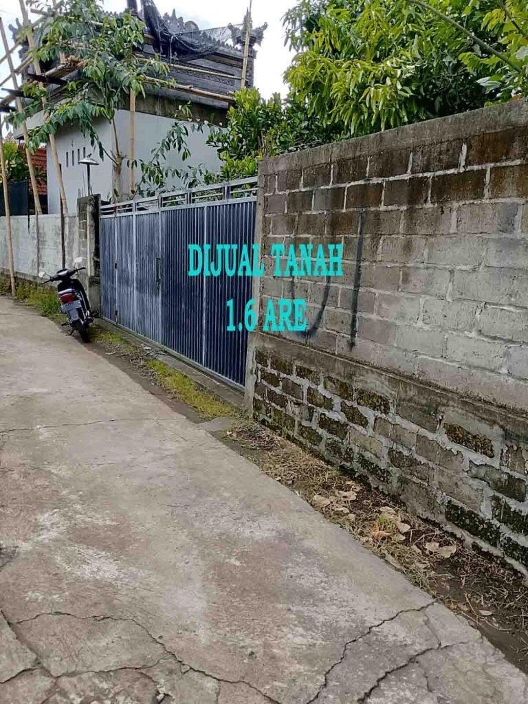 WhatsApp Image 2026-02-17 at 8.56