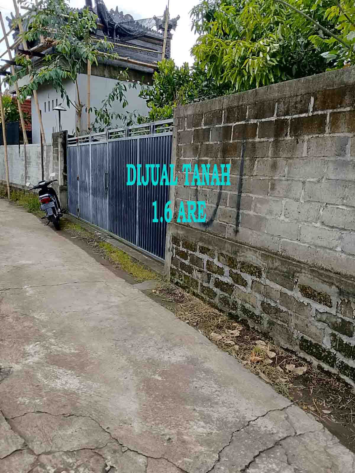 WhatsApp Image 2026-02-17 at 8.56