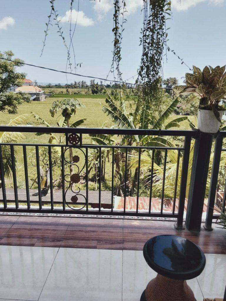 WhatsApp Image 2026-03-13 at 1.53.5