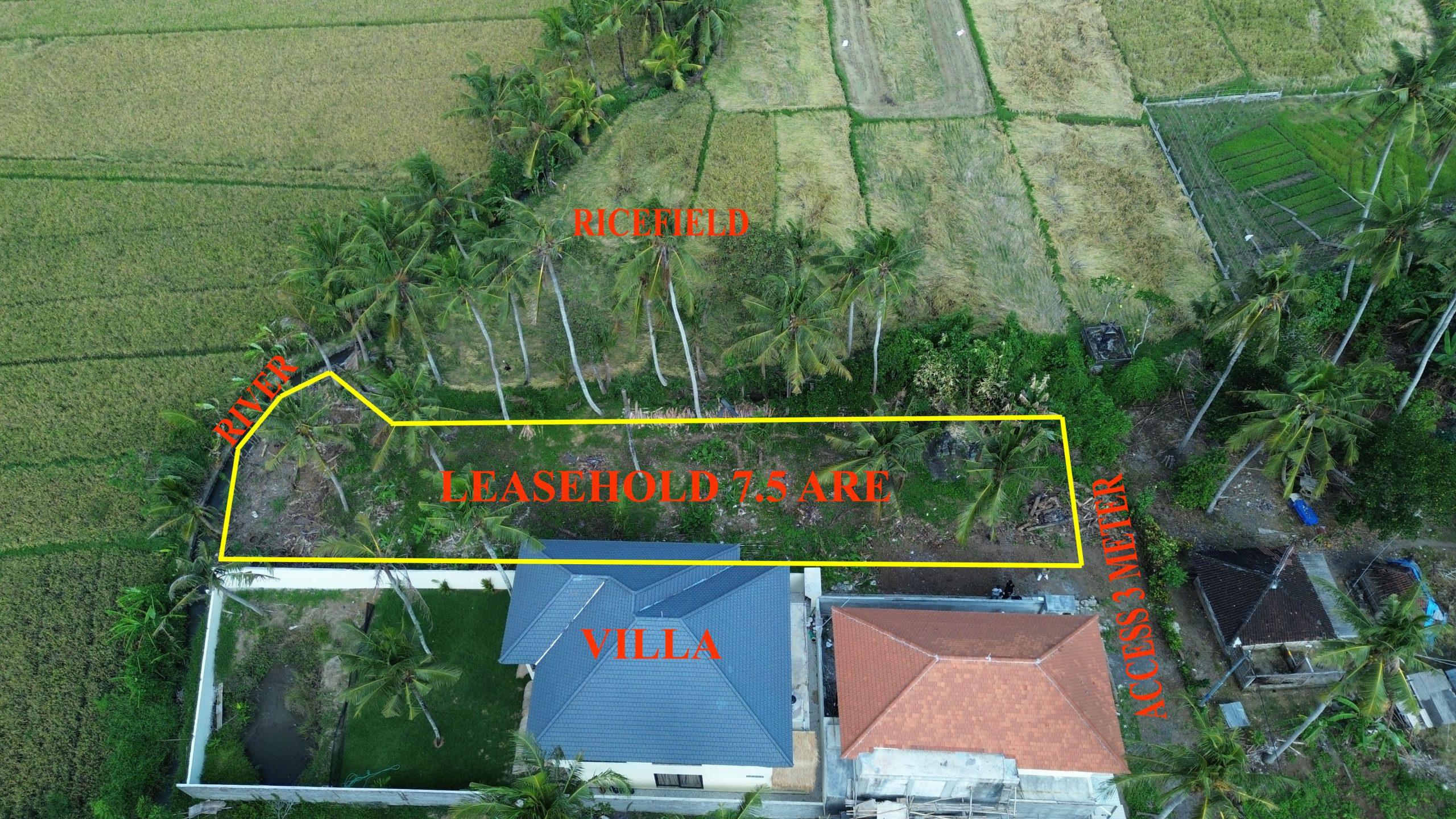 DCIM101MEDIADJI_0218.JPG
