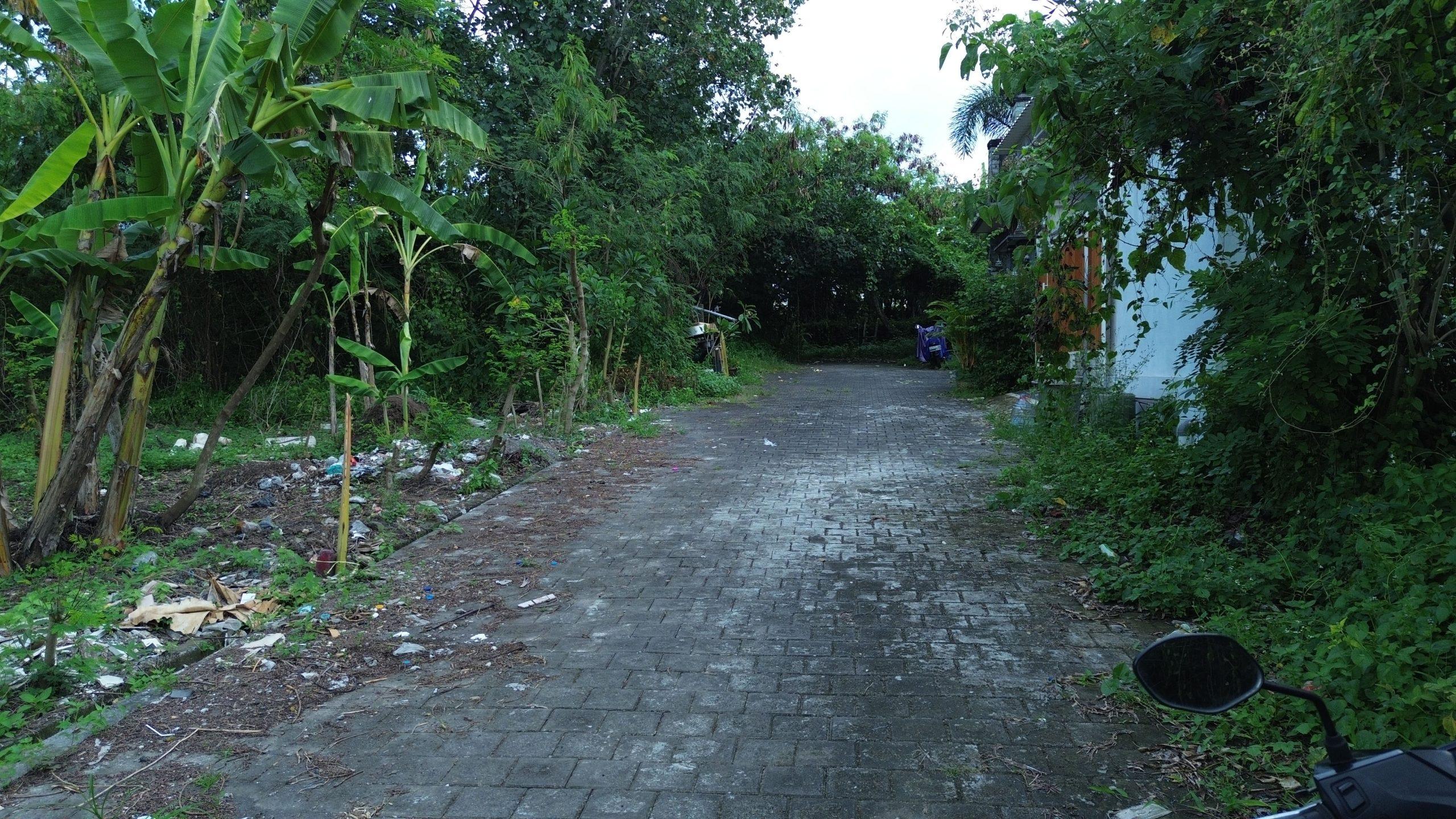 DCIM101MEDIADJI_0255.JPG
