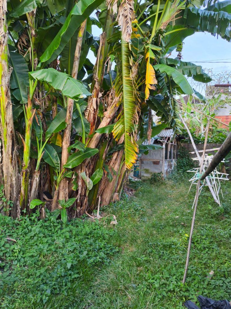 WhatsApp Image 2026-04-01 at 6.00.08 PMrr