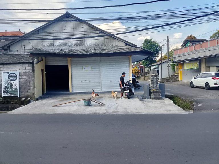 WhatsApp Image 2026-04-09 at 4.26.23 PM