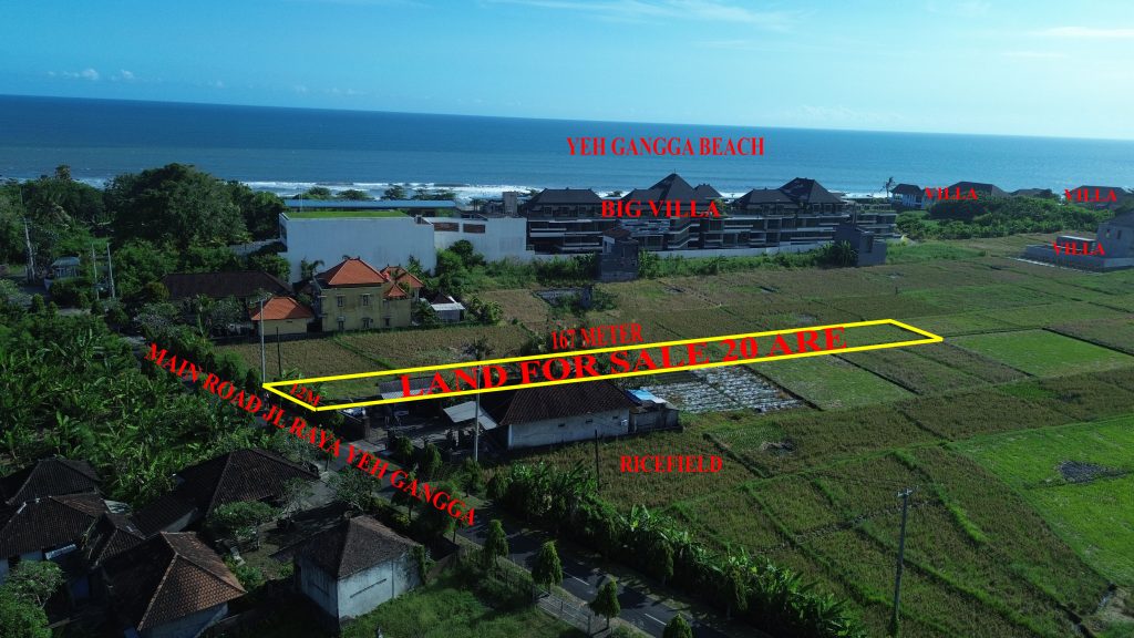 DCIM100MEDIADJI_0333.JPG