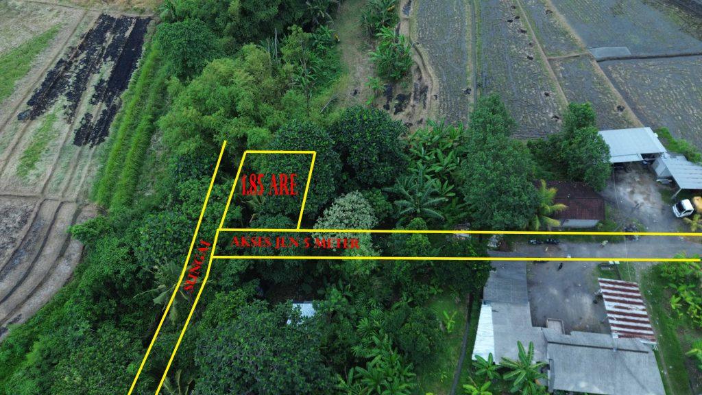 DCIM101MEDIADJI_0351.JPG