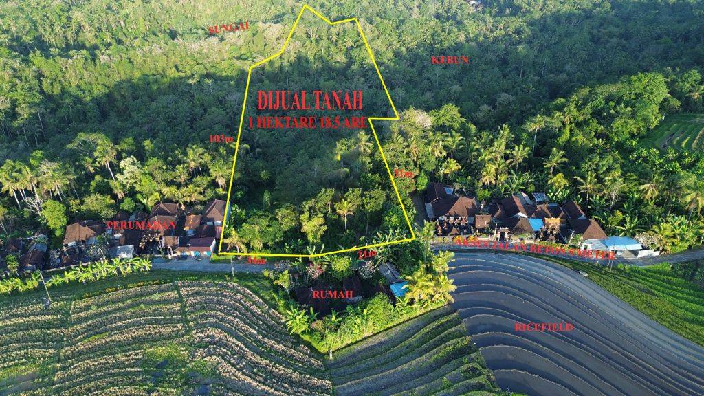 DCIM101MEDIADJI_0486.JPG