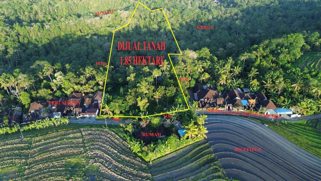 DCIM101MEDIADJI_0486.JPG