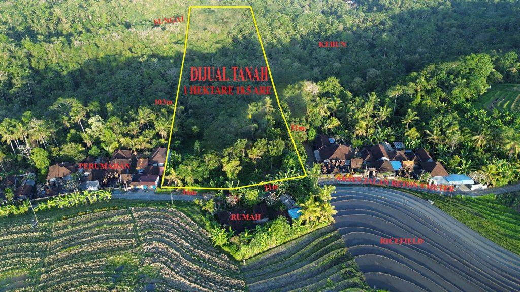 DCIM101MEDIADJI_0486.JPG