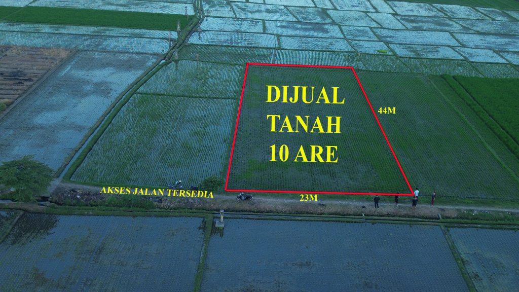 DCIM100MEDIADJI_0575.JPG