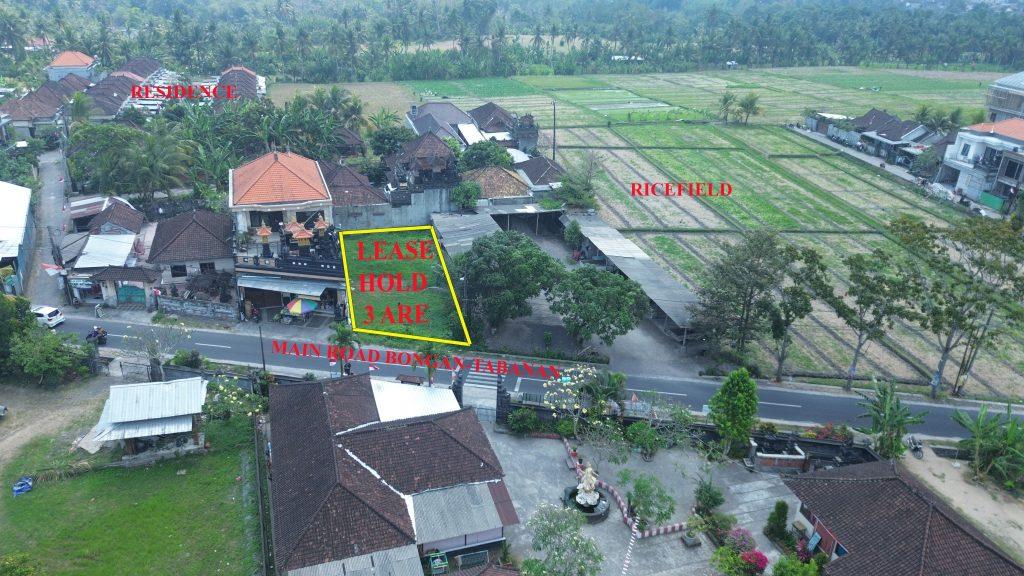 DCIM100MEDIADJI_0584.JPG