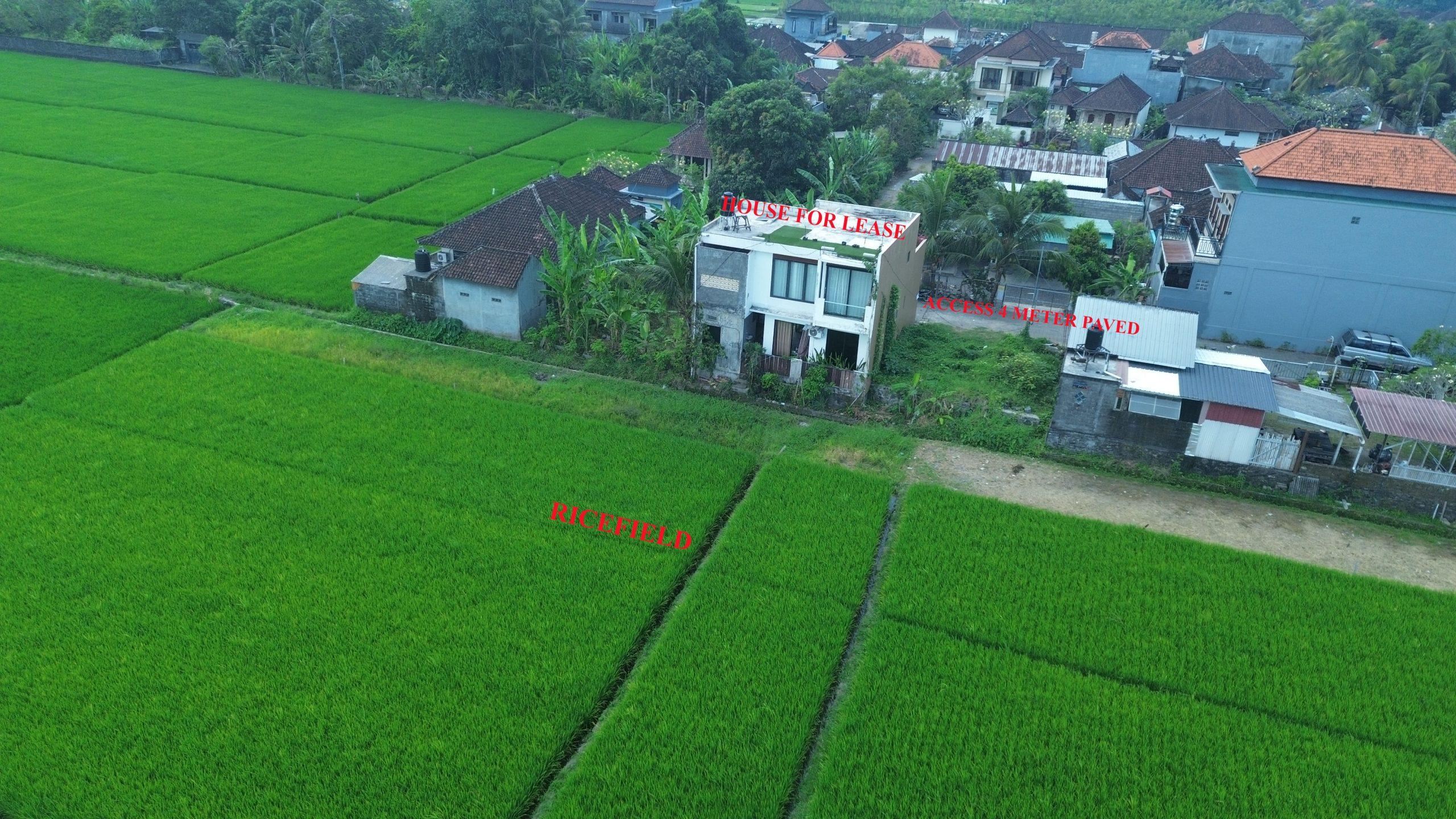 DCIM100MEDIADJI_0594.JPG