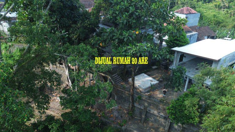 DCIM100MEDIADJI_0657.JPG