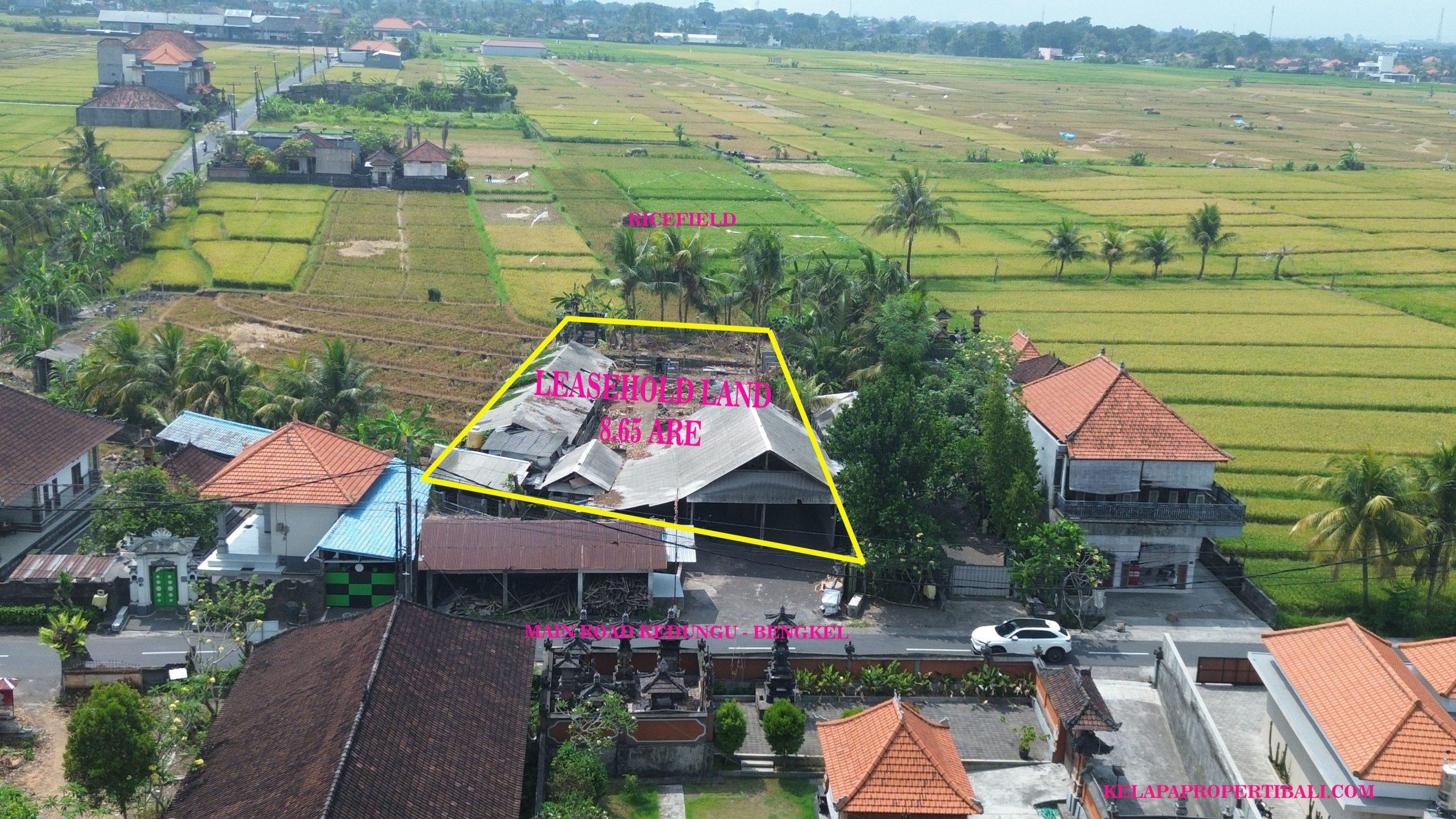 DCIM100MEDIADJI_0716.JPG